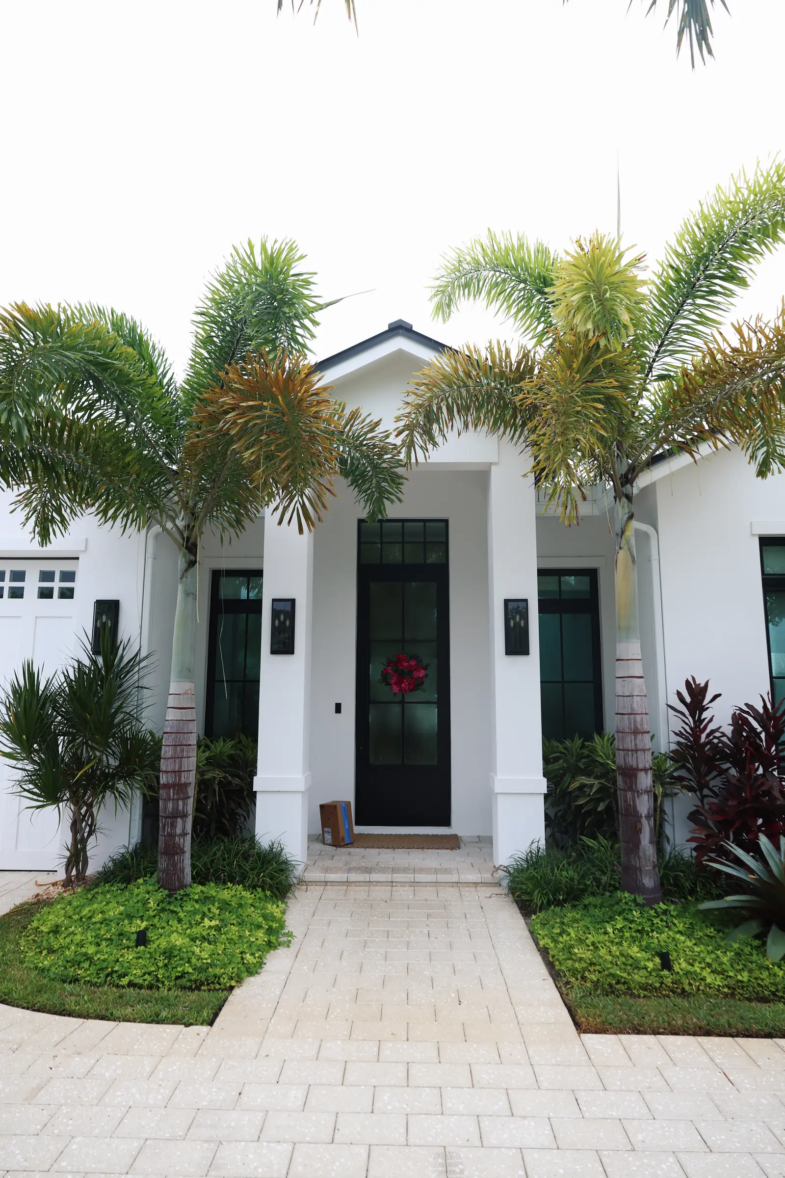 Entry path with palms, vertical