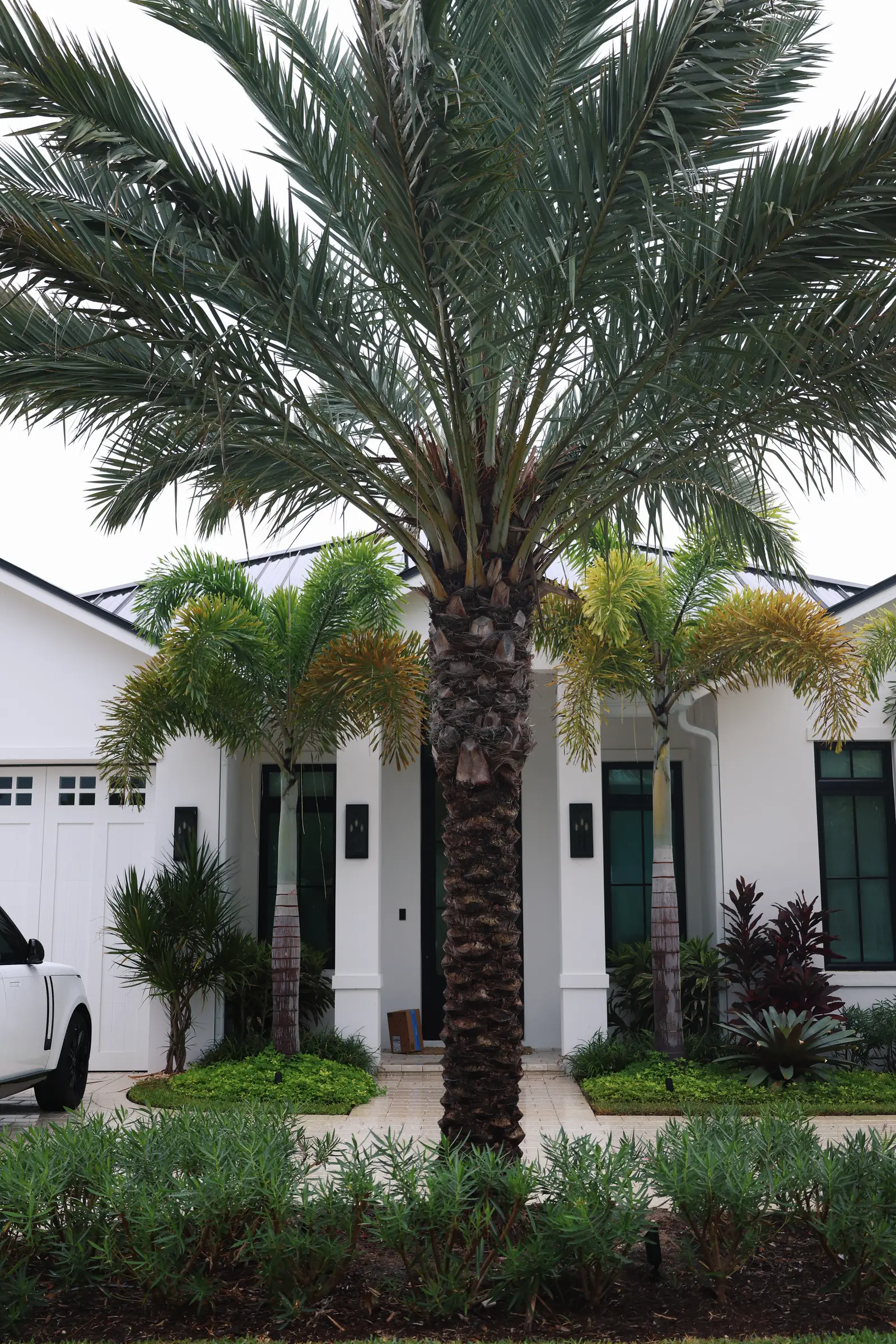 Palm and facade, vertical