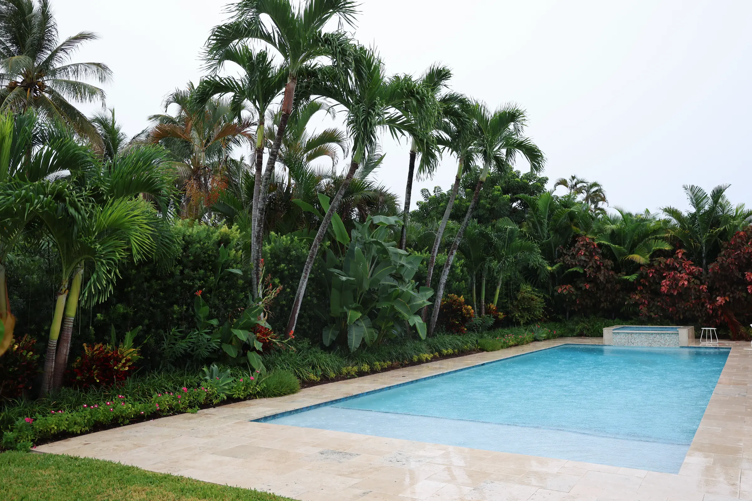 Pool lined with palms and crotons