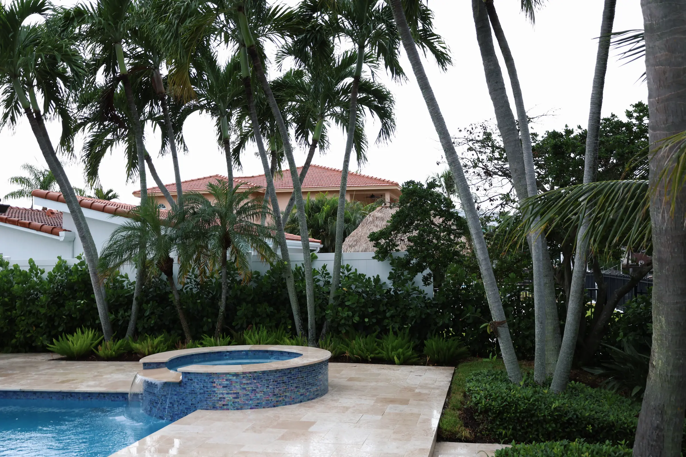 Spa and pool with palms
