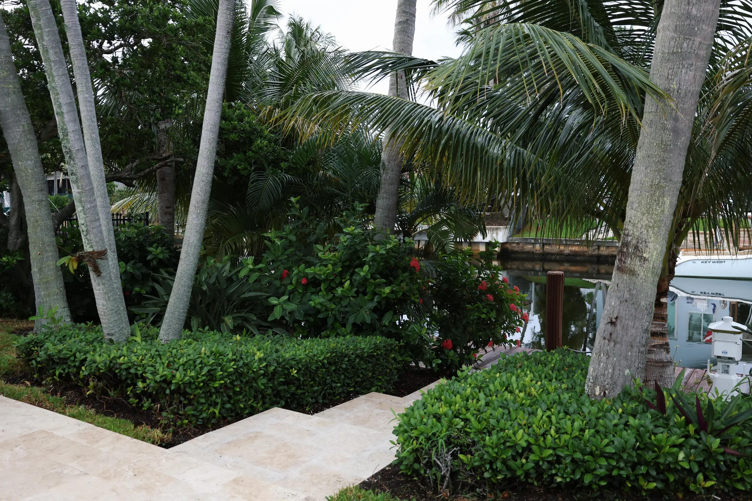 Clipped clusia hedge and ixora at travertine steps